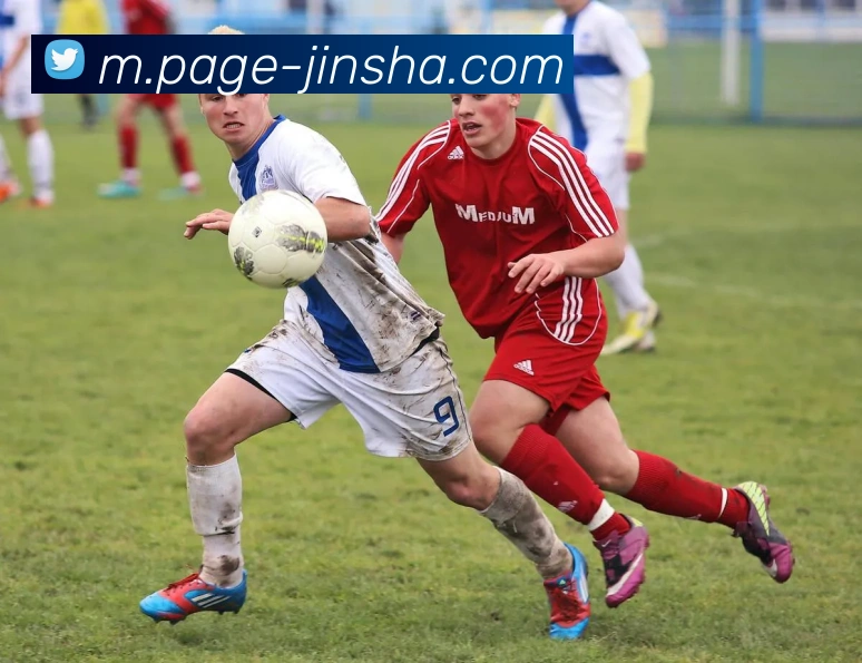 金沙娱乐平台生态图